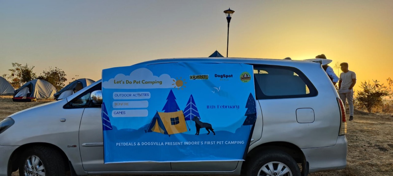 Furventures - Pet Adventures & Events - Photo 39